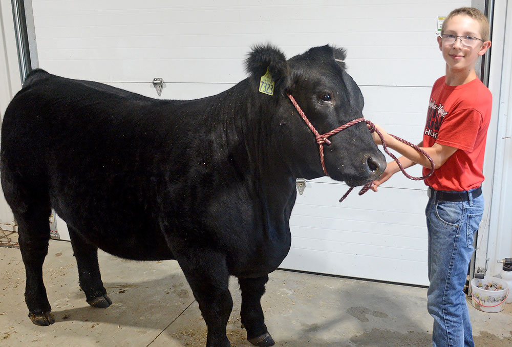 For Floyd County’s annual entry in Governor’s Charity Steer Show, it isn’t always about the beef