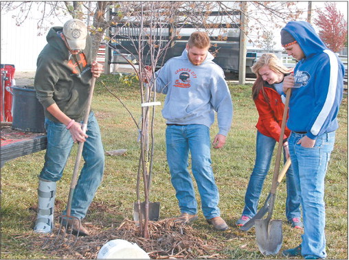 TREES FOR TEENS TAKE ROOT  IN CCHS HORTICULTURE CLASS