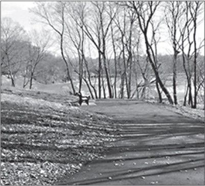 Nora Springs updates parks