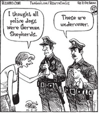 Bizarro