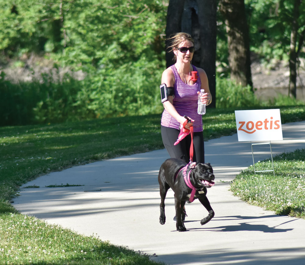 Dog Jog races forward