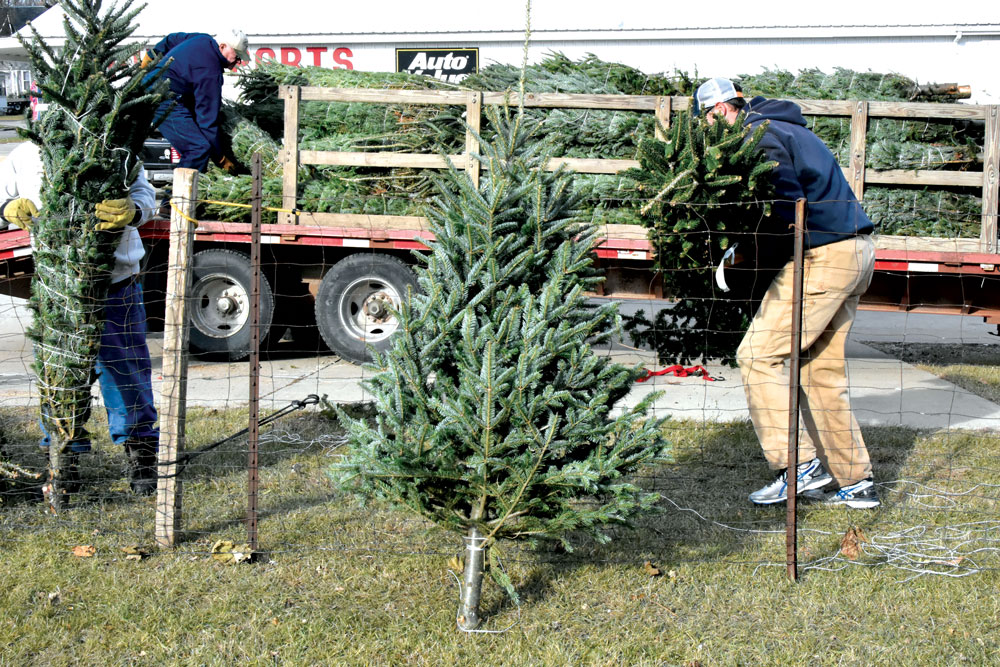 Ikes selling Christmas Trees Friday