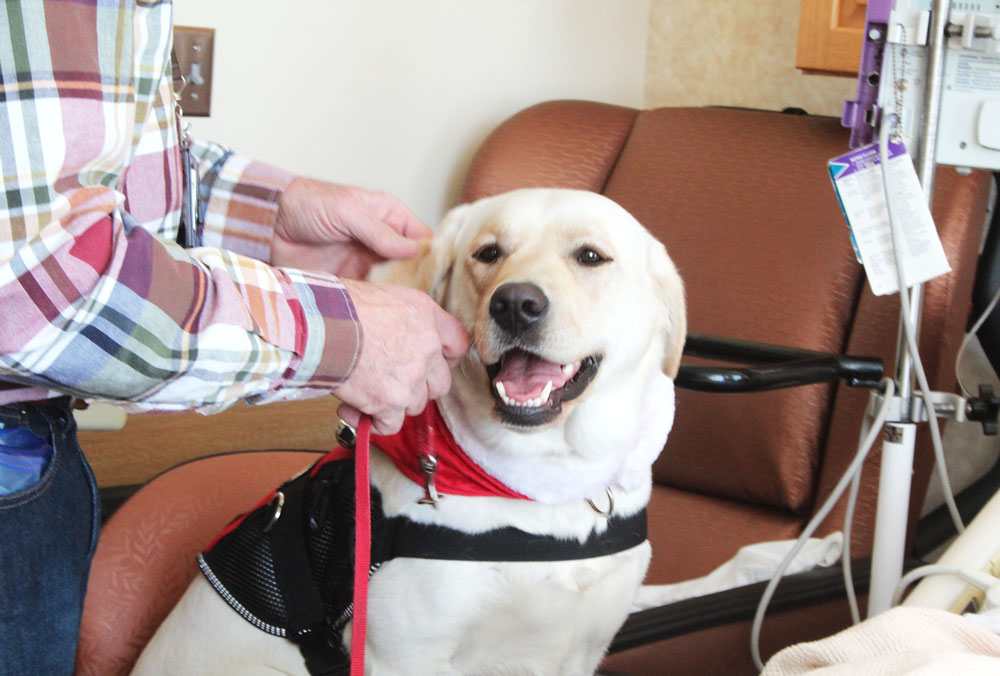 Pawsitive partners visit Floyd County Medical Center