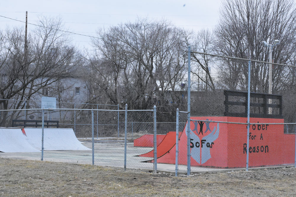 Seed money used to draw organizations to skate park project
