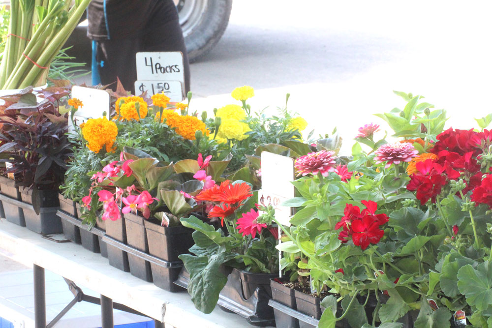 Limited farmers market to open in Charles City on Saturday, May 2