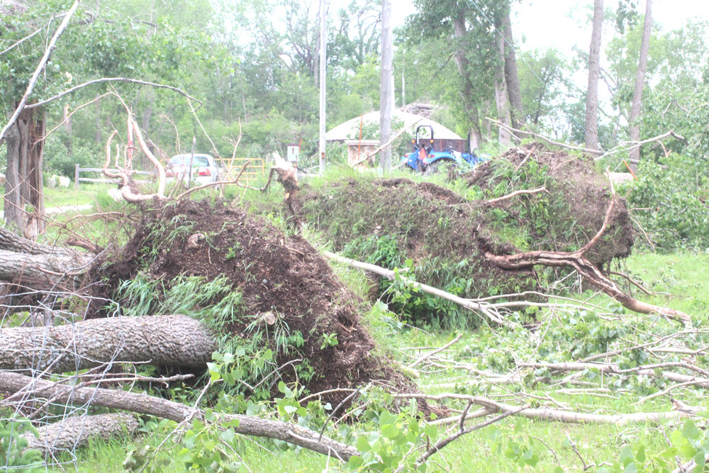 Damage to Fossil Park in Rockford extensive