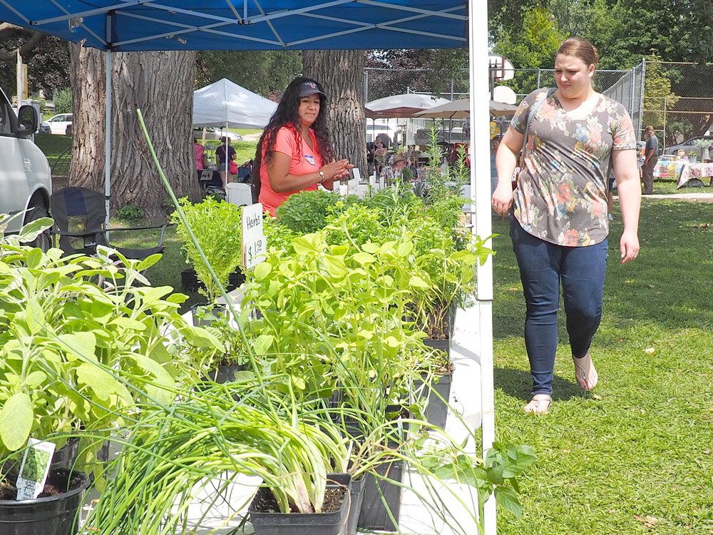 Greene Herb Fest draws a crowd to scenic park