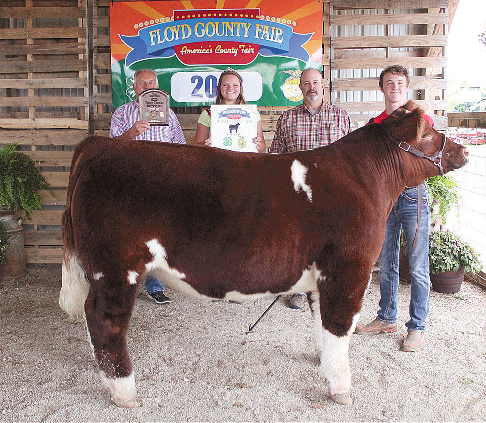 Floyd County tradition continues at charity steer show