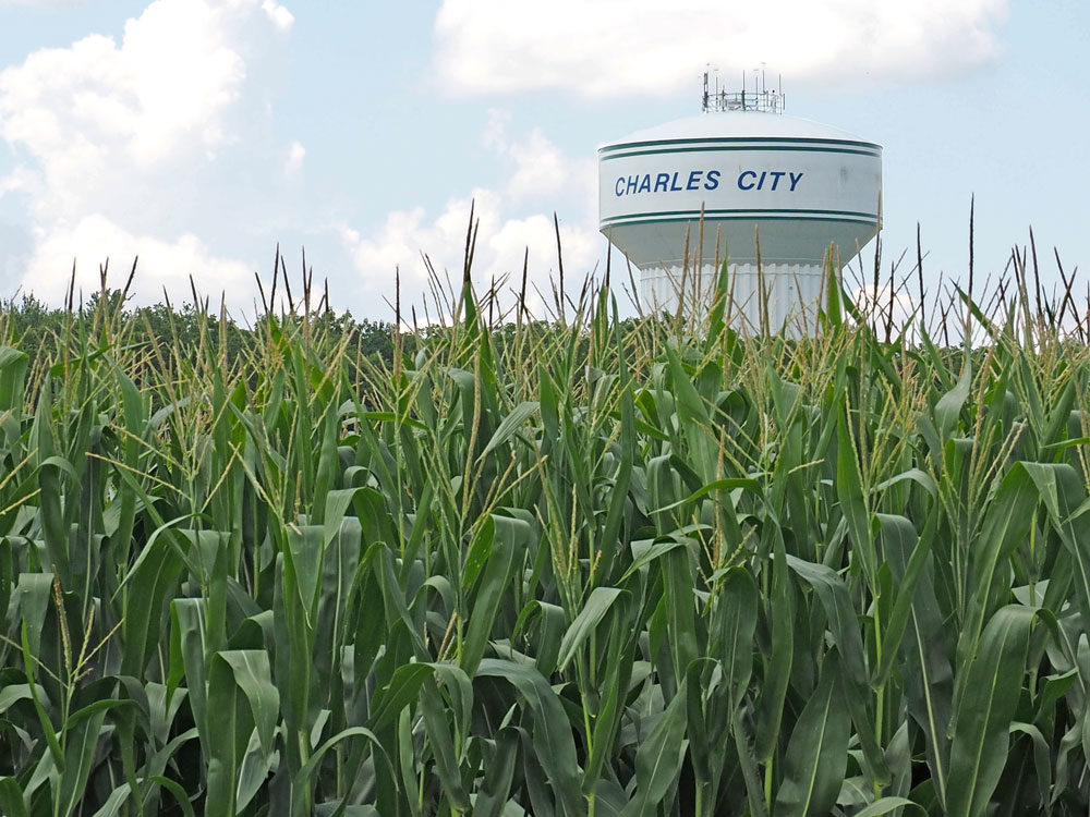 FARM LIVING: As harvest approaches, Iowa farmers are about a week ahead