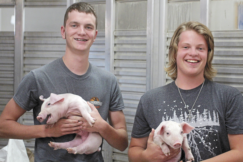 CCHS ag class raises pigs