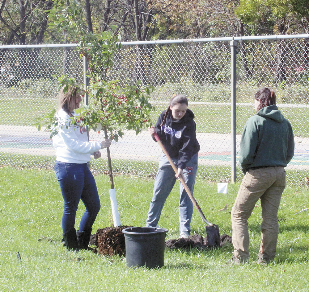 School receives DNR grant to plant trees