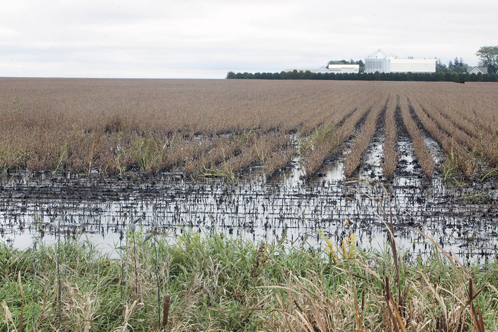 With fields waterlogged, farmers face continued challenges