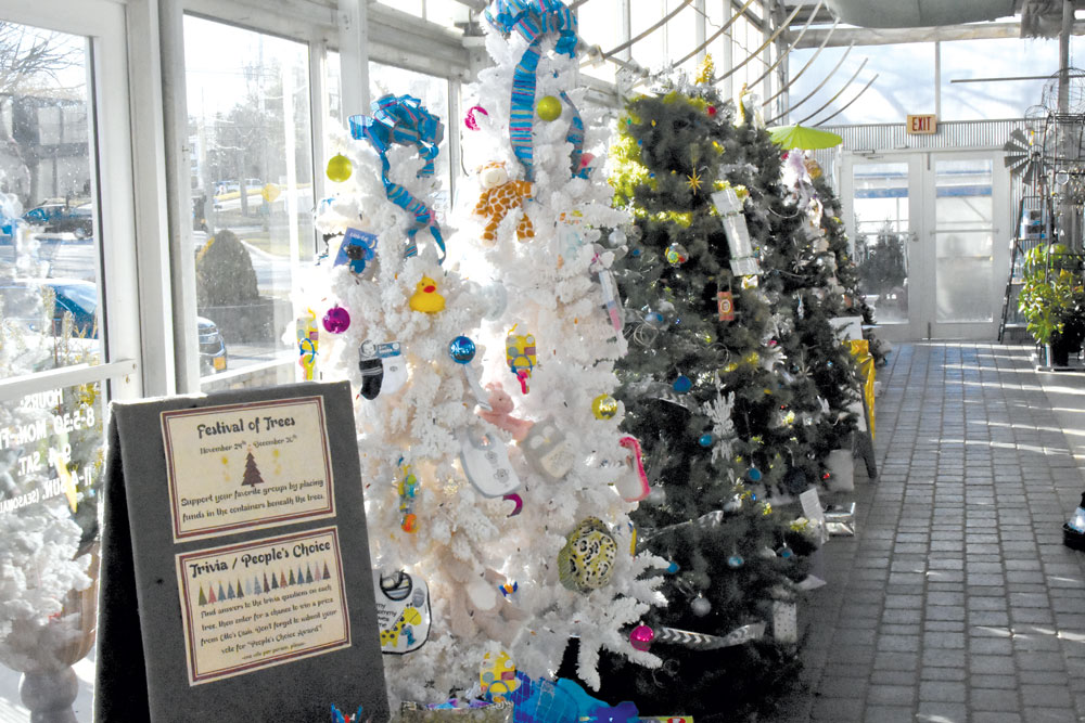 Festival of Trees starts today at Otto’s Oasis