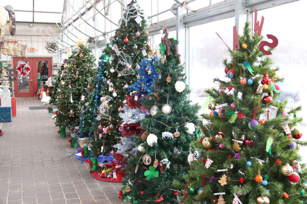 Festival of Trees signals start to holiday shopping season