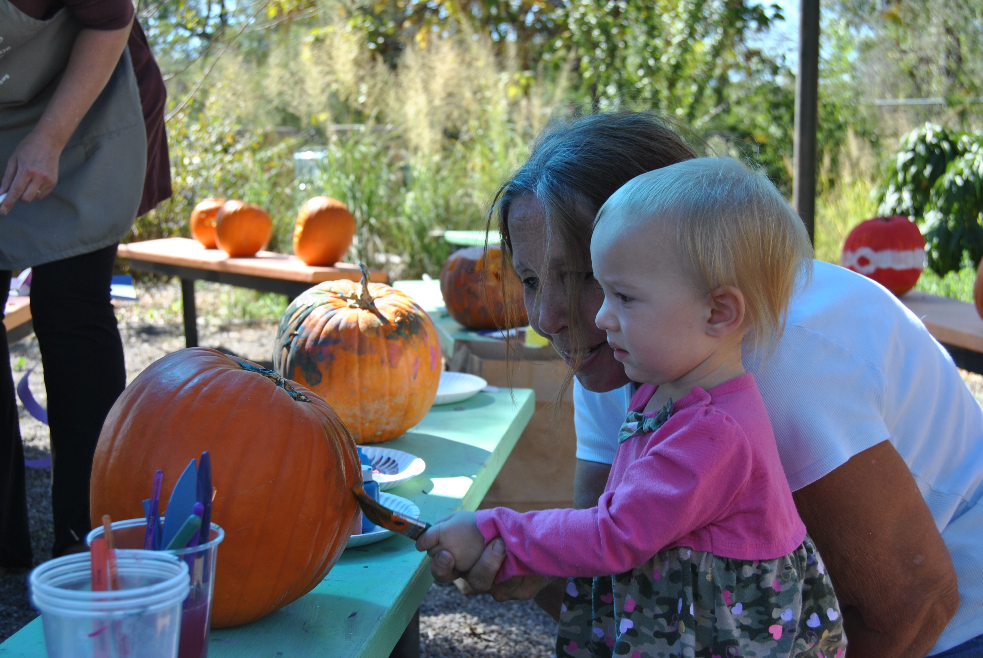 Volunteer Center celebrates fall with Harvest Fest