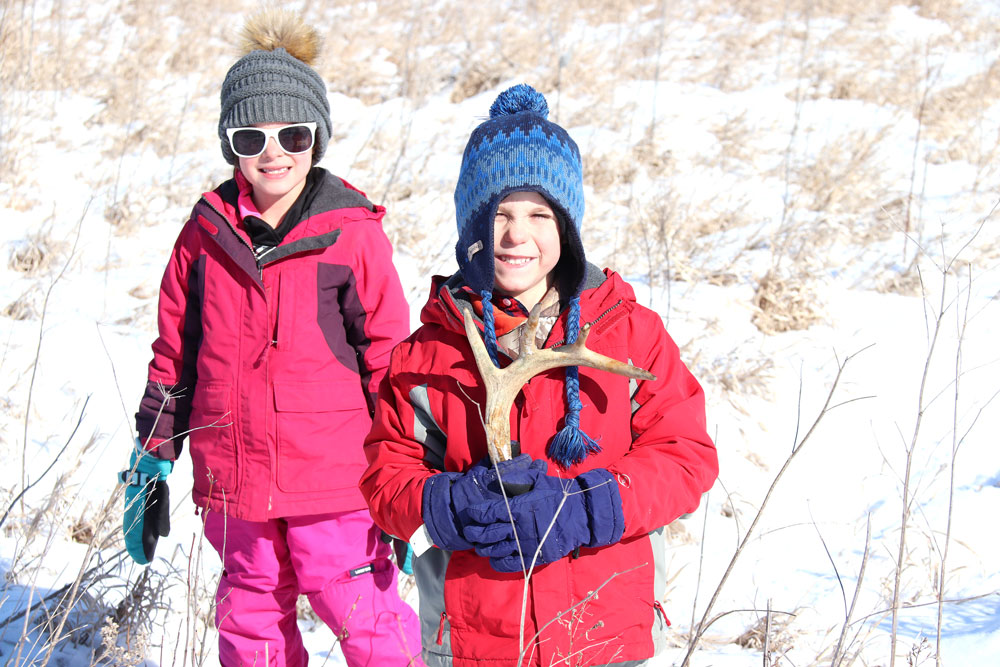 Shed antler deer hunt brings out nature enthusiasts looking for a buried treasure