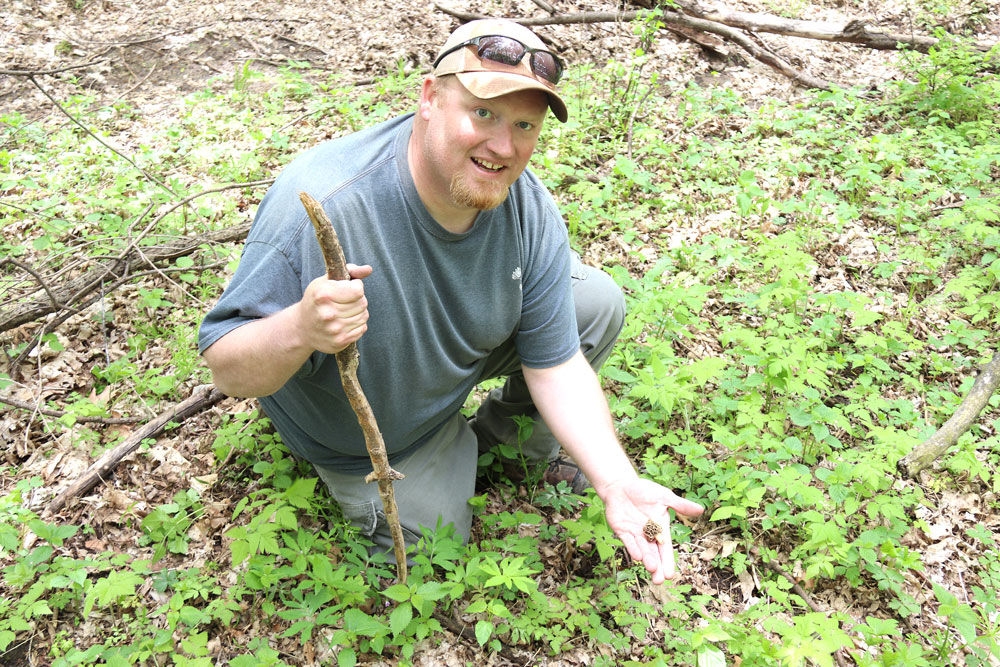 Prospecting for mushroom “gold” and avoiding poison ivy