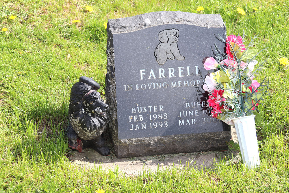 Meadow of Memories a final resting spot for beloved pets