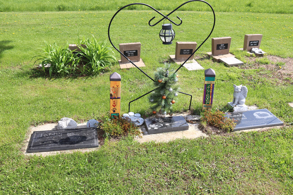 Meadow Of Memories A Final Resting Spot