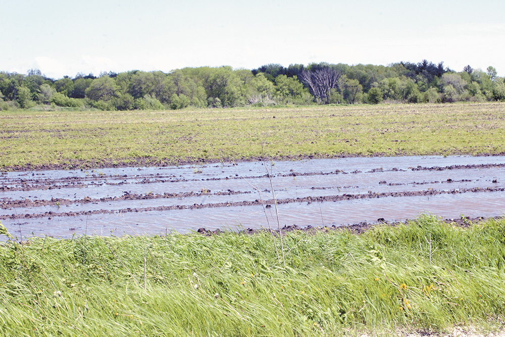 Area farmers remain ’resilient’ during difficult planting season