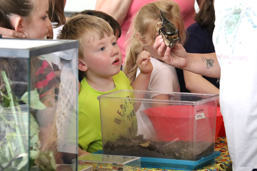Kids bug out learning about insects at Charles City Library