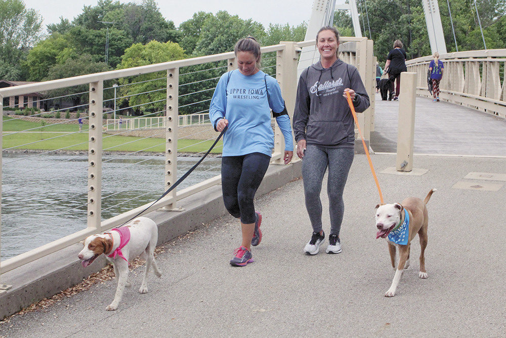 Dogs take a jog in Charles City