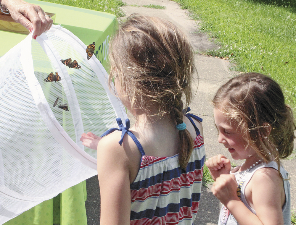 Butterflies released in remembrance of lost loved ones