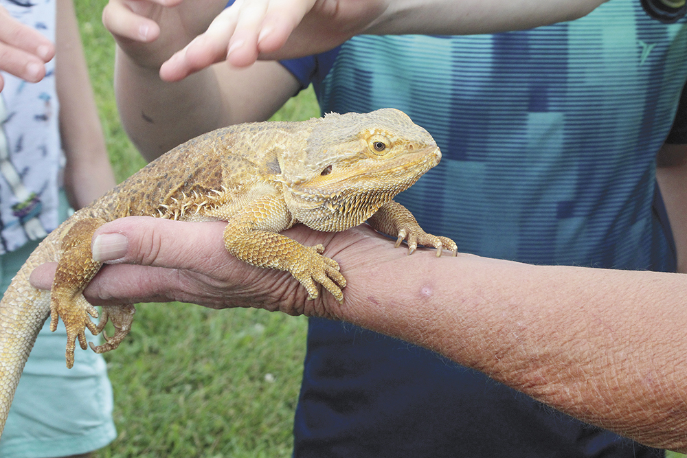 Floyd County gets a look Down Under with ‘Aussie Kingdom’