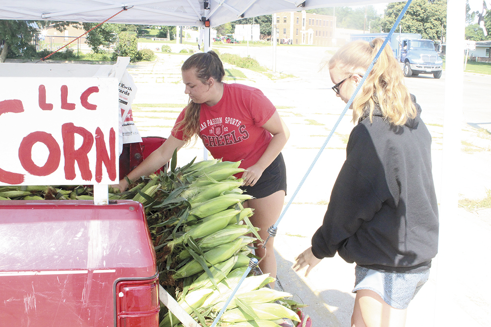 Sweet corn has arrived