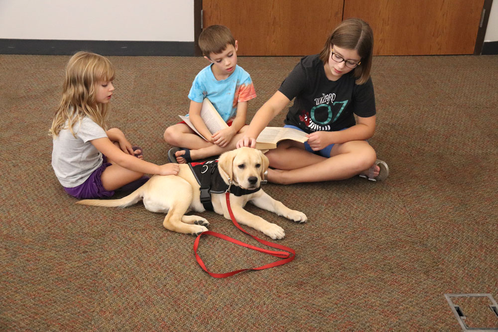 Retrieving Freedom stops by CC Library with service dogs to help children read