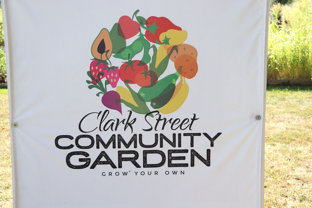 Pilfered produce at Clark Street Community Garden have renters riled