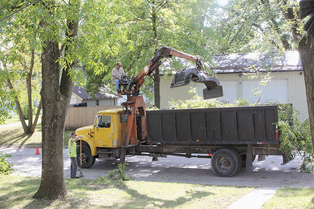Out on a limb: Tree-trimming resumes in Charles City
