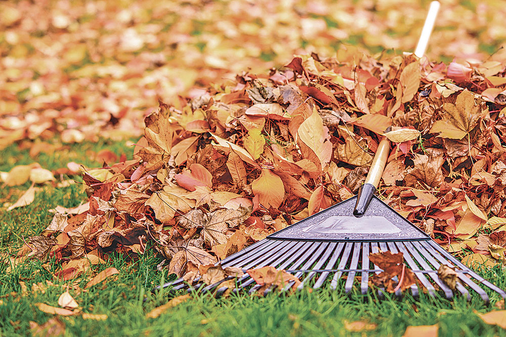 Charles City fall leaf and brush pickup set for week of Oct. 26