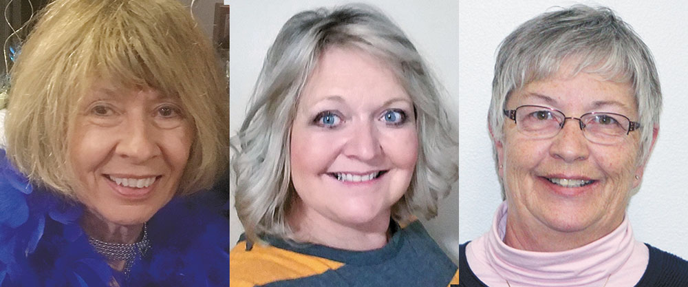 Three candidates to vie for two Charles City school board seats