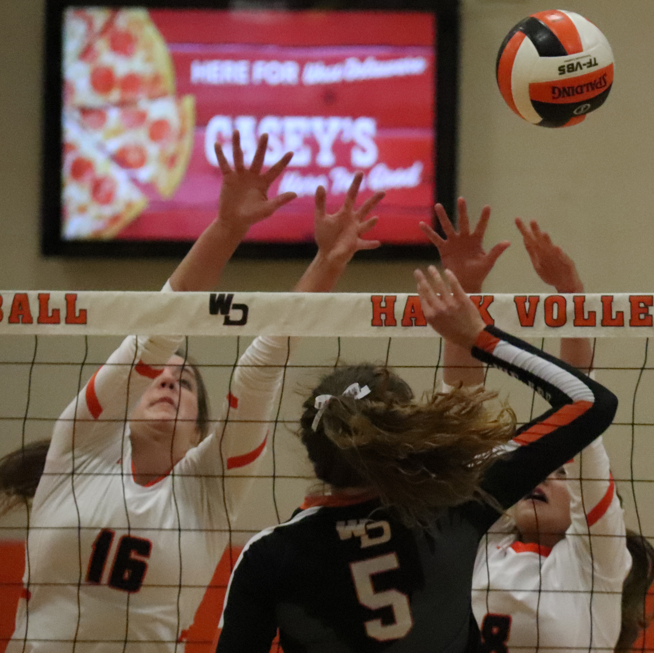 Comets fall  to No. 5-ranked Hawks in volleyball regional final