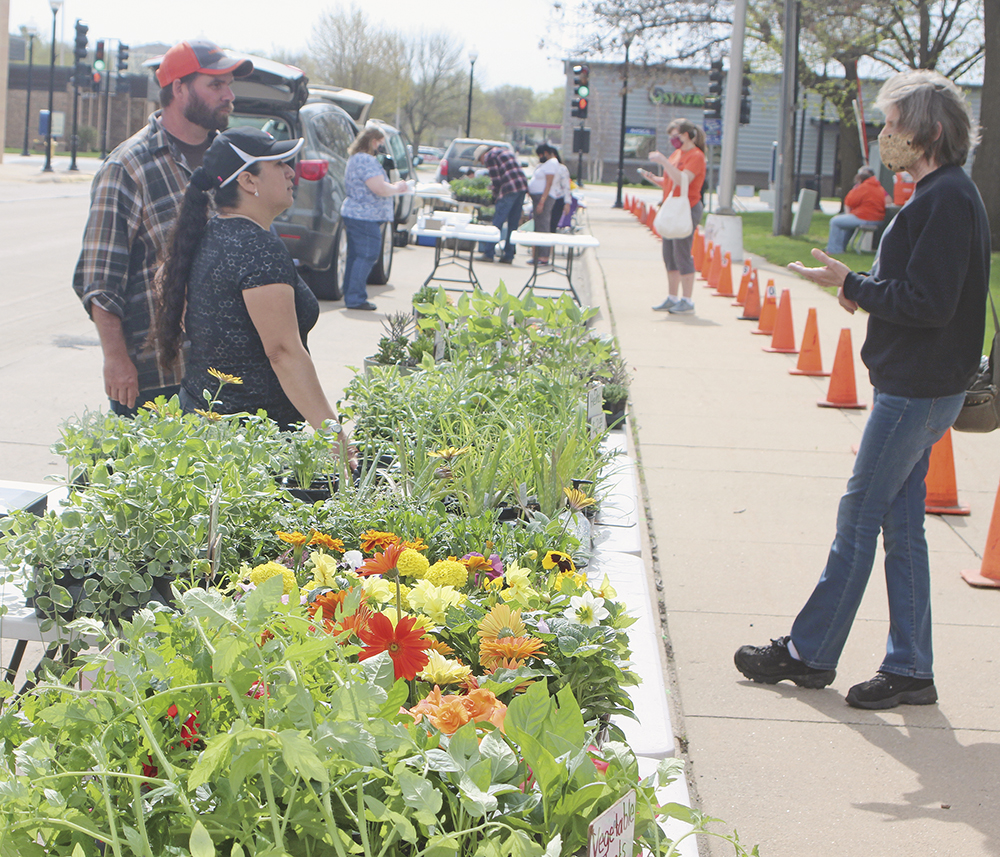 Limited Farmers Market goes on Saturday