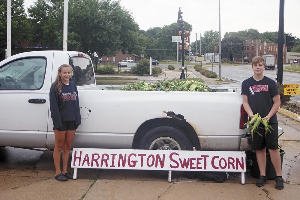 Sweet corn for sale, rain or shine