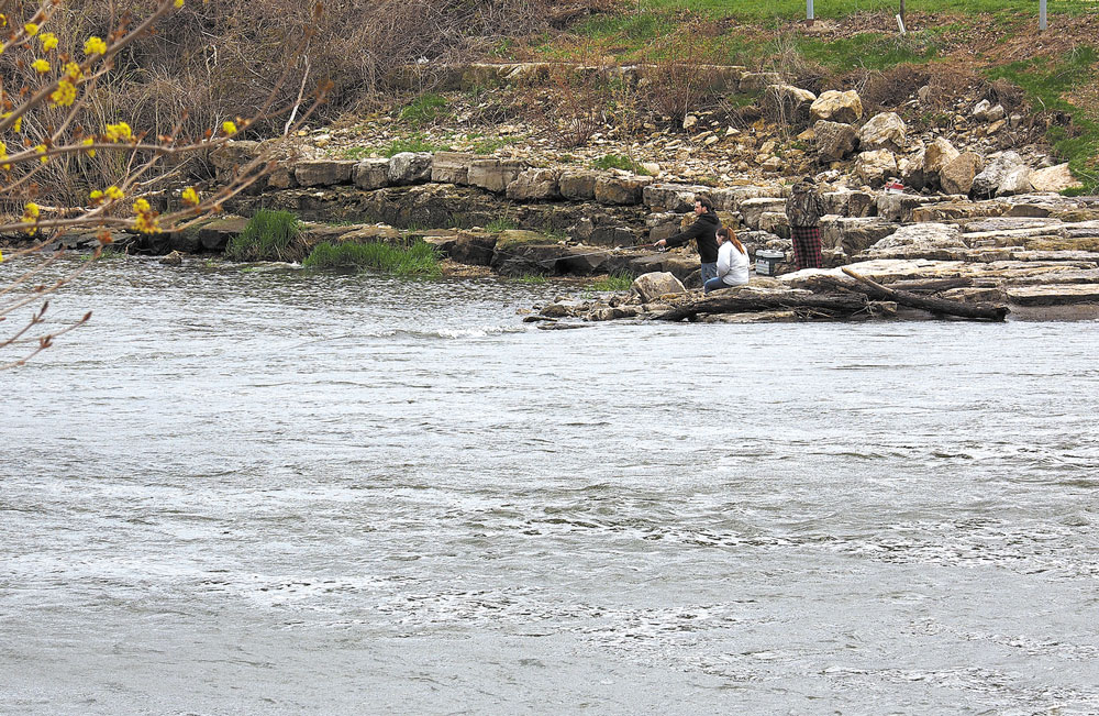 2020 state report still lists Cedar River as ‘endangered/impaired’
