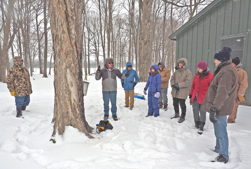 Tree-tapping time at Tosanak