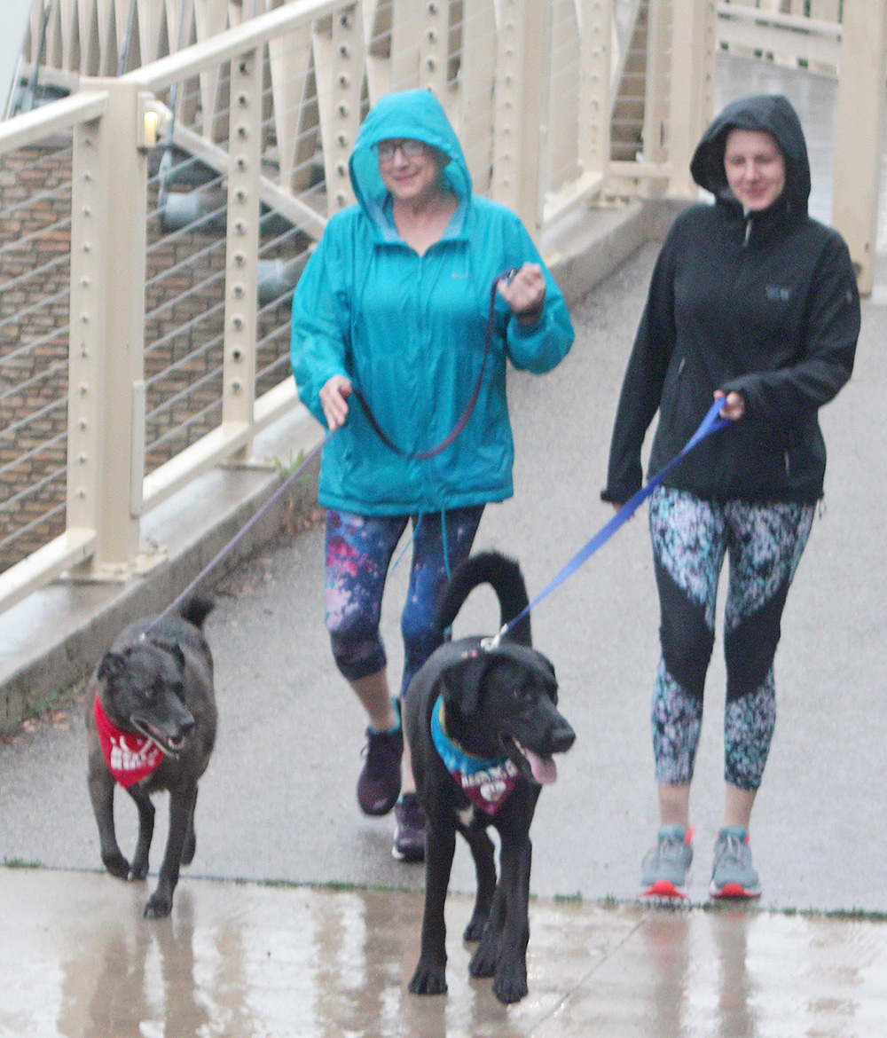 Rain dampens day, but the dogs still jog at PAWS Cedar Dog Jog in Charles City