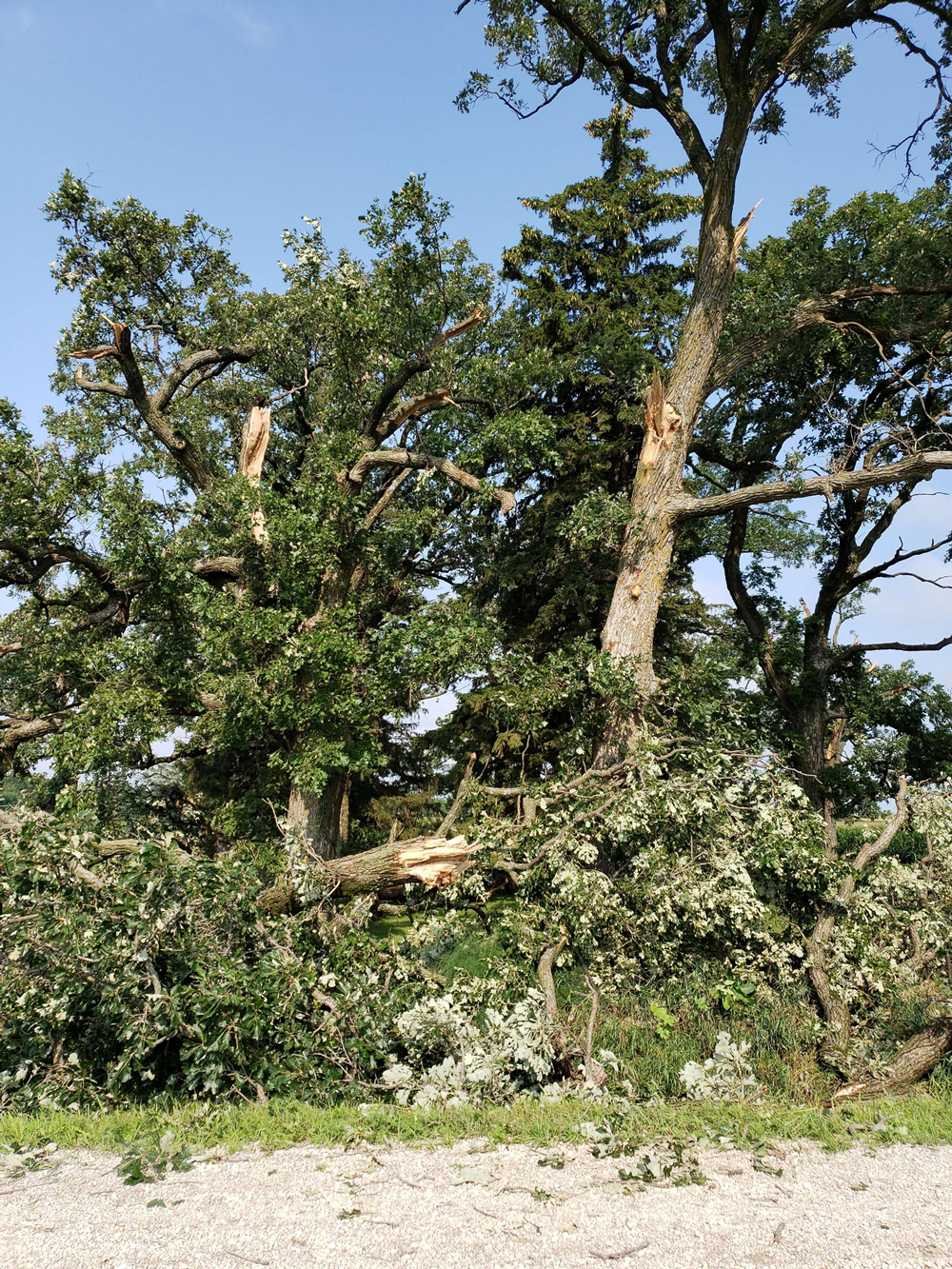 Tornados touch down in Floyd County during a day of storms Tornados touch down in Floyd County during a day of storms