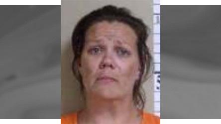 Charles City woman charged with multiple burglaries
