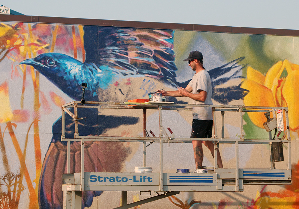 Charles City Town of Colors project looking for 3 artists for this year’s murals