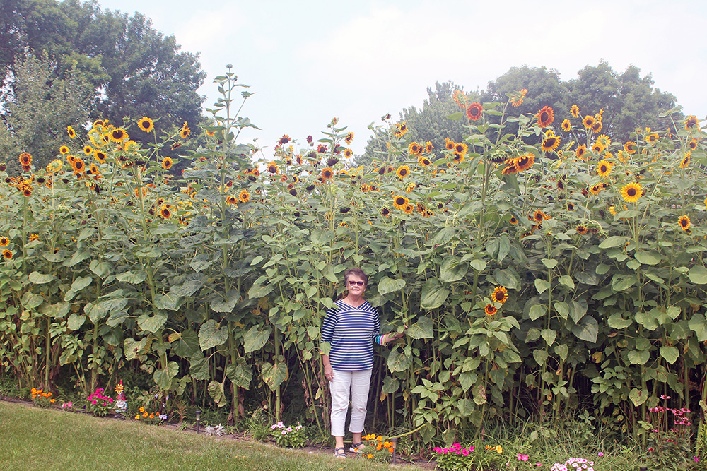 Schafer leaves a sunny legacy behind Schafer leaves a sunny legacy behind