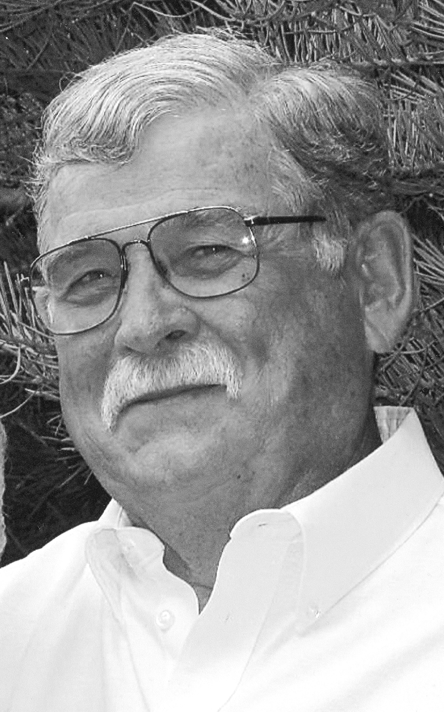 David Snyder