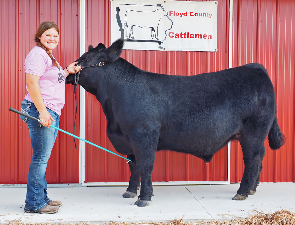 Quade and Max will continue Floyd County tradition being part of Charity Steer Show at the Iowa State Fair