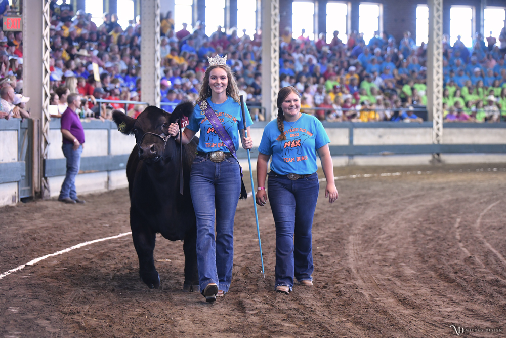 Charles City’s Quade, steer Max, part of People’s Choice Award-winning team at Governor’s Charity Steer Show