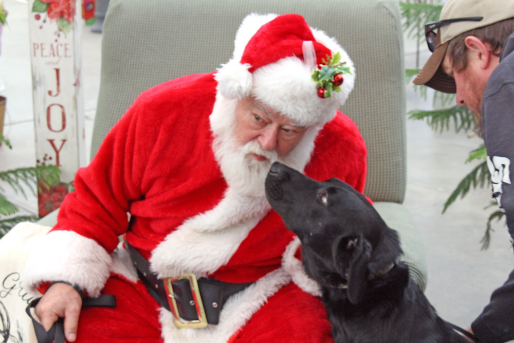 Local pets get their turn with Santa at PAWS Christmas photo shoot – Charles City Press