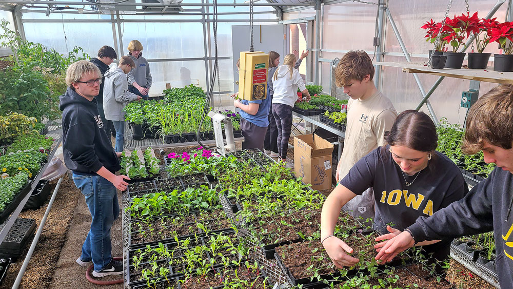 FFA Week: Charles City horticulture class growing new flowers for downtown