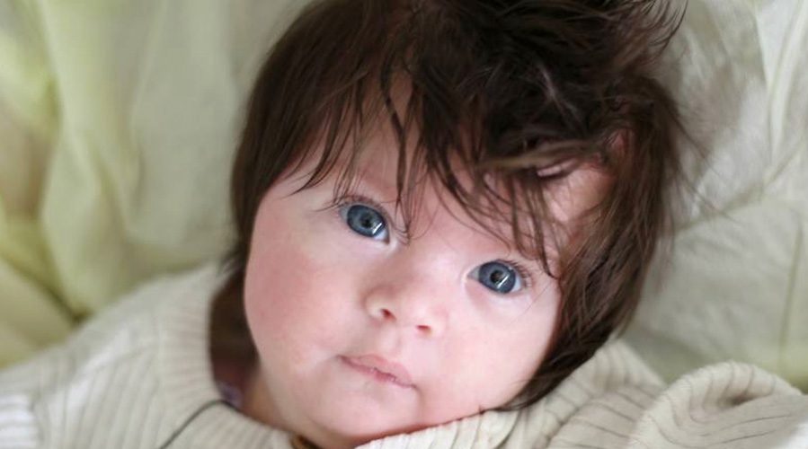 Rowan Dale Burkholder